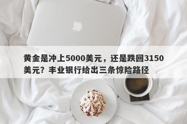 黄金是冲上5000美元，还是跌回3150美元？丰业银行给出三条惊险路径