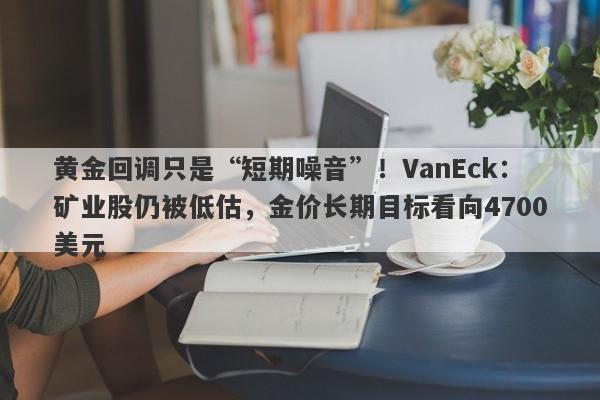 黄金回调只是“短期噪音”！VanEck：矿业股仍被低估，金价长期目标看向4700美元