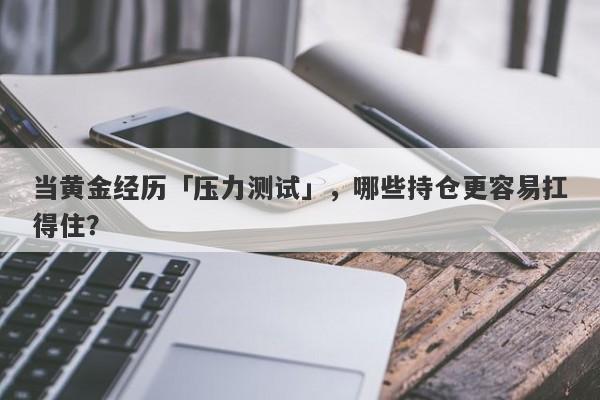 当黄金经历「压力测试」，哪些持仓更容易扛得住？