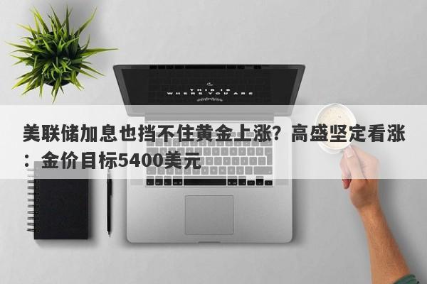 美联储加息也挡不住黄金上涨？高盛坚定看涨：金价目标5400美元